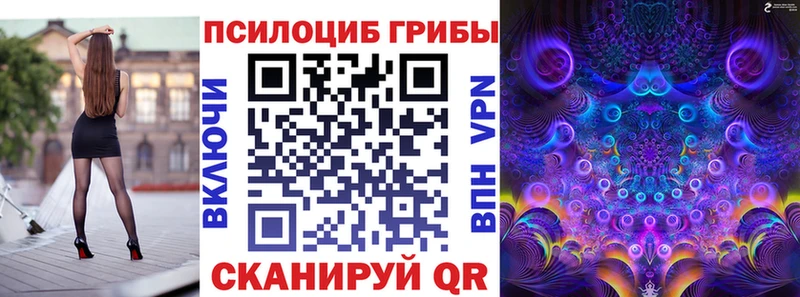 где найти   Брянск  Галлюциногенные грибы MAGIC MUSHROOMS 